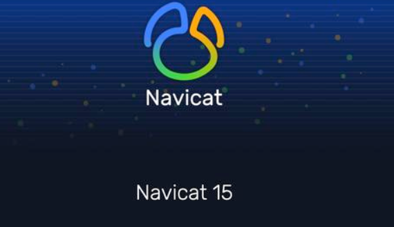 Navicat Premium 數據庫開發工具